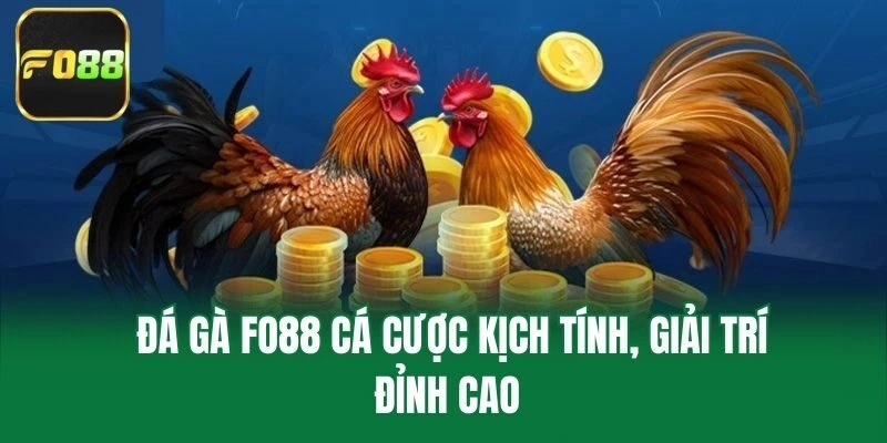 Đá gà Fo88 cá cược kịch tính, giải trí đỉnh cao 