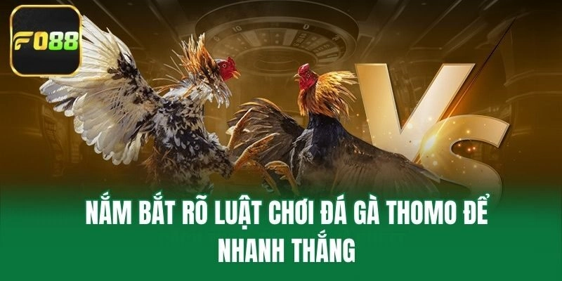 Nắm bắt rõ luật chơi đá gà Thomo để nhanh thắng