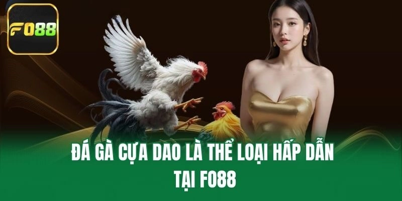 Đá gà cựa dao là thể loại hấp dẫn tại Fo88