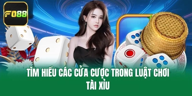 Tìm hiểu các cửa cược trong luật chơi tài xỉu