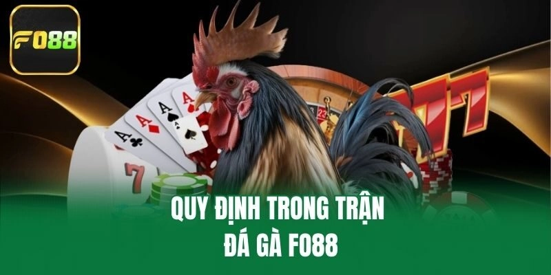 Quy định trong trận đá gà Fo88