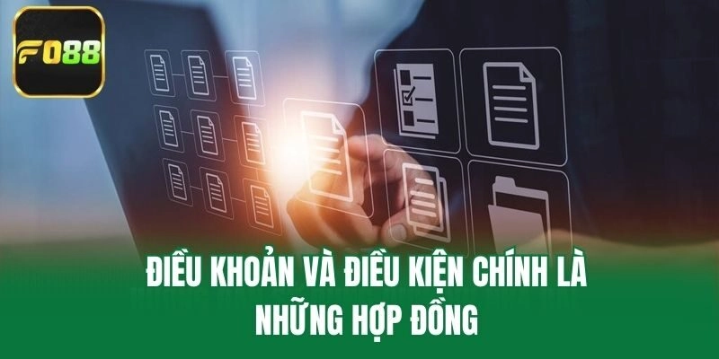 Điều khoản và điều kiện chính là những hợp đồng