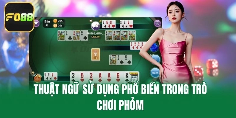 Thuật ngữ sử dụng phổ biến trong trò chơi phỏm